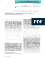 Molecular Plant Pathology - 2011 - YADAV - RNAi Mediated Resistance To Cassava Brown Streak Uganda Virus in Transgenic