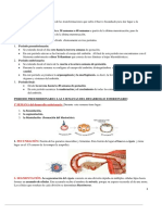 Resumen-Embriologia Compress