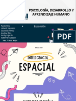 Psicología, Desarrollo y Aprendizaje Humano