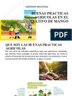 01 - Buenas Practicas Agricolas - Ing Frank Alvarado