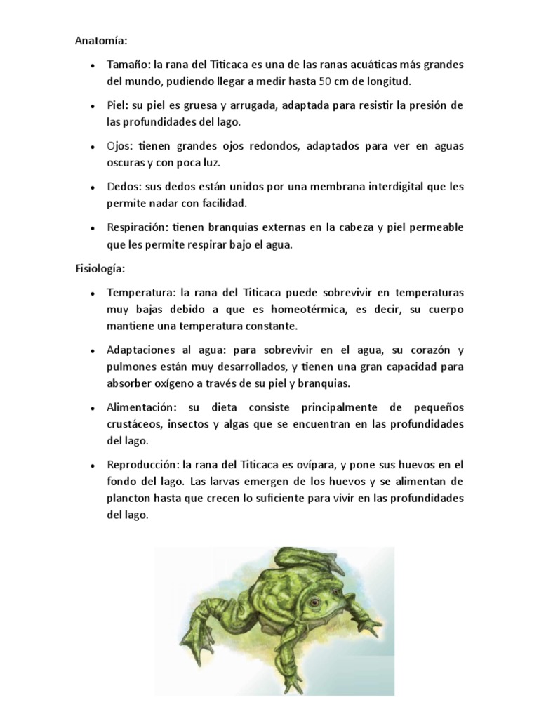 fisiología, anatomía y forma de reproducción | PDF | Rana | Huevo