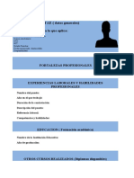 Modelo 3 Plantilla Curriculum Vitae