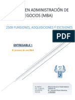 Entregable 1. Proceso de Una M&A