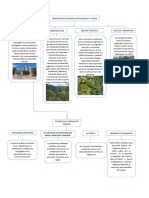 Mapa Conceptual