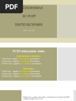 Matematikos Pupp | PDF