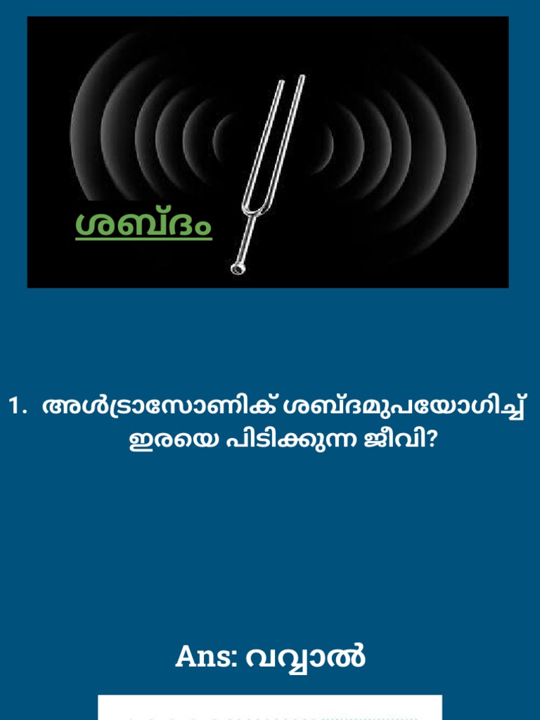 Sound | PDF