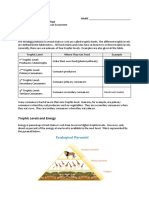 Ch.2.2 Ecological Pyramid Worksheet