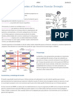 Enfermedad de Duchenne