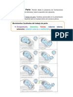 Temas de Simulación de Parto