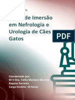 Ementa - Imersão em Nefrologia e Urologia em Cães e Gatos