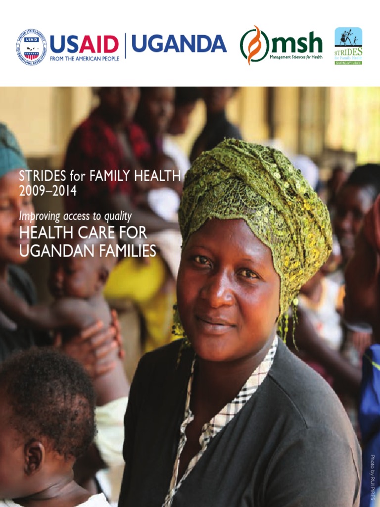 STRIDES Final Report 20092014 PDF Family Planning Maternal Death
