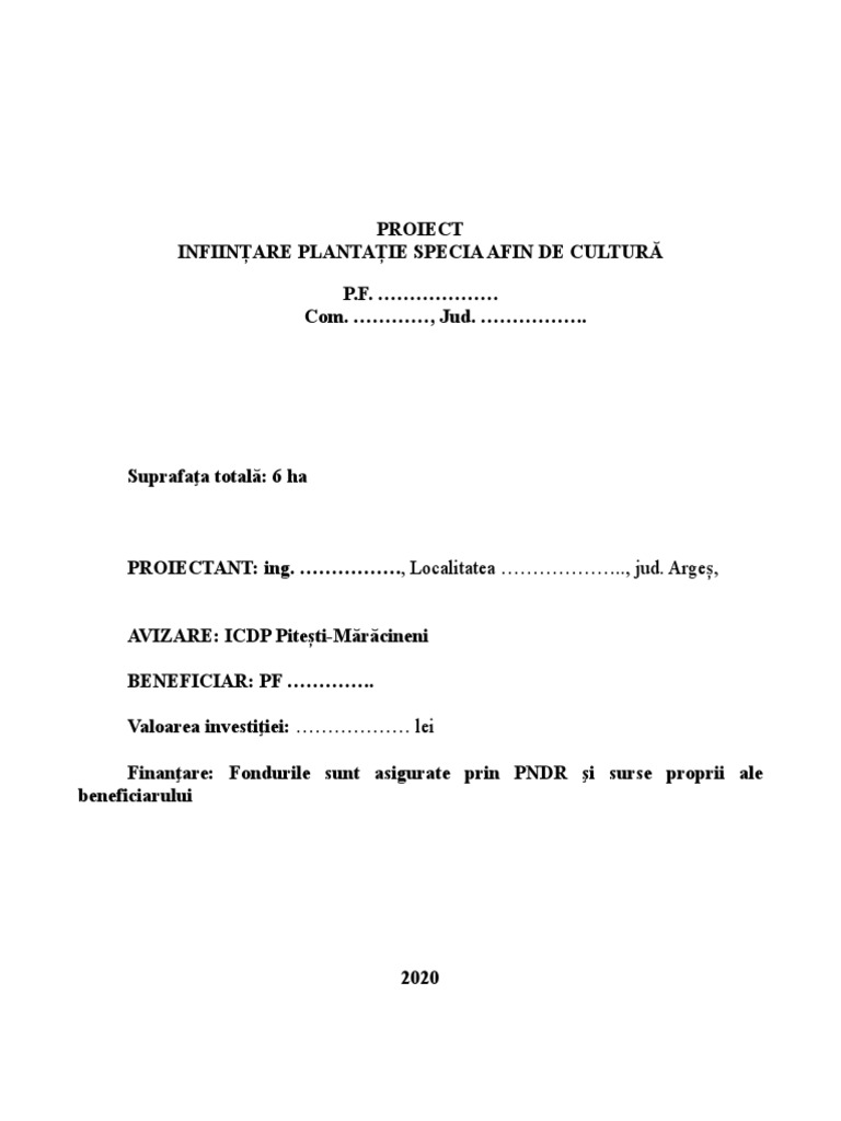 Proiect Afin Model 02 | PDF