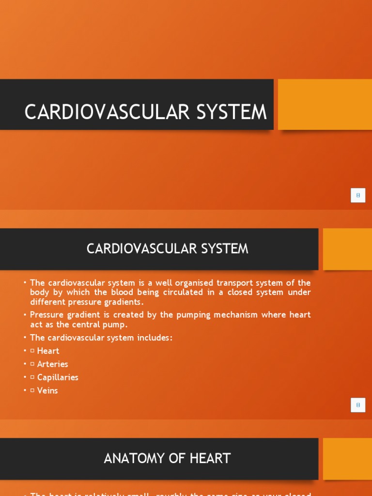 Cardiovascular System PDF Heart Valve Heart