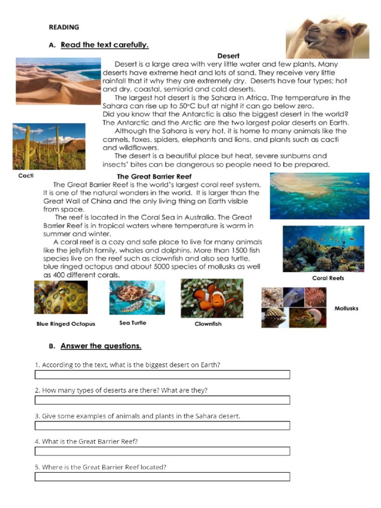 A2 Reading Comparative Superlative | PDF