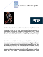 ADN: Molekula Mbartëse Dhe Transmetuese e Informacionit Gjenetik