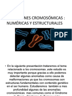 Alteraciones Cromosomicas 2 - 1