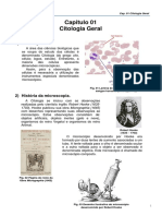 Bloco de Aulas 1 Biologia 1 PDF 9 (Organelas)