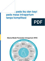 Asuhan Pada Ibu Dan Bayi Pada Masa Intrapartum DAN Nifas Tanpa Komplikasi 2023