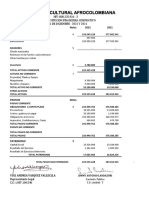 Estados de Situacion Financiera 2022 Calipso