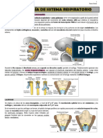 Embriología - Sistema Respiratorio