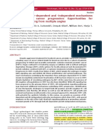 Androgen Receptor-Dependent and - Independent Mechanisms