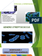 streptococcus y enterococcus