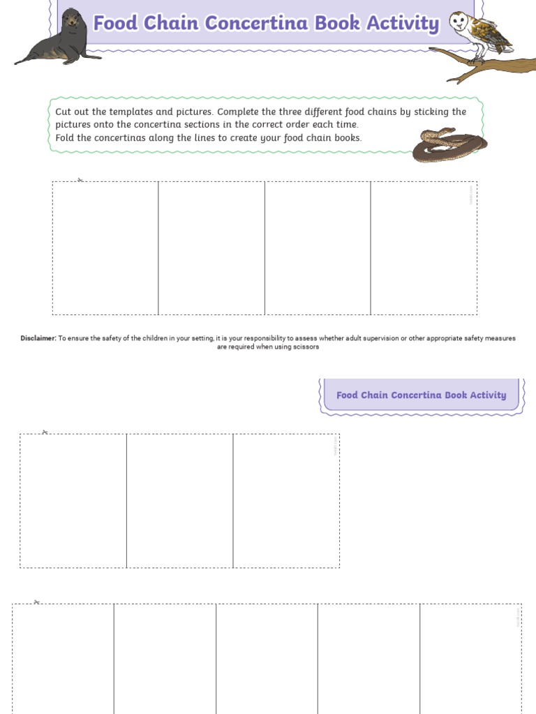 Food Chain Concertina PDF