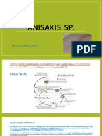 ANISAKIS  SP 2.pptx