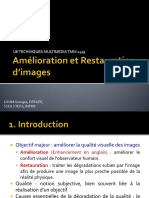 Ch7 Amelioration Restauration