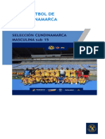 Informe Final Seleccion Ucrania