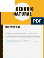 Escenario Natural II