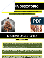 8º Sistema Digestório