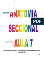 (Aula 7) - Anatomia Seccional