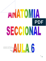 [Aula 6] - Anatomia Seccional