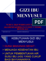 Gizi Ibu Menyusui