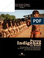 Livro Povos Indicc81genas Fortalecimento de Lutas e Combate Ao Preconceito Por Meio Do Audiovisual