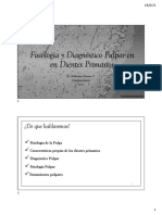 Fisio y DG Pulpar 21