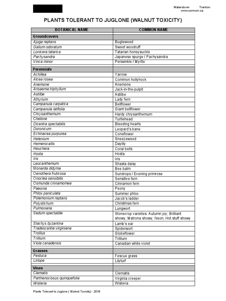 Juglone-Tolerant Plants Guide | PDF | Plants | Garden Plants