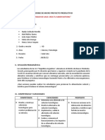 Informe de Micro Proyecto Productivo