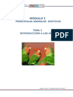 Modulo I Tema 2 Introduccion A Las Aves