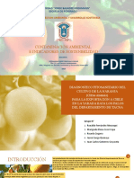 Indicadores de Sostenibilidad Producción de La Naranja