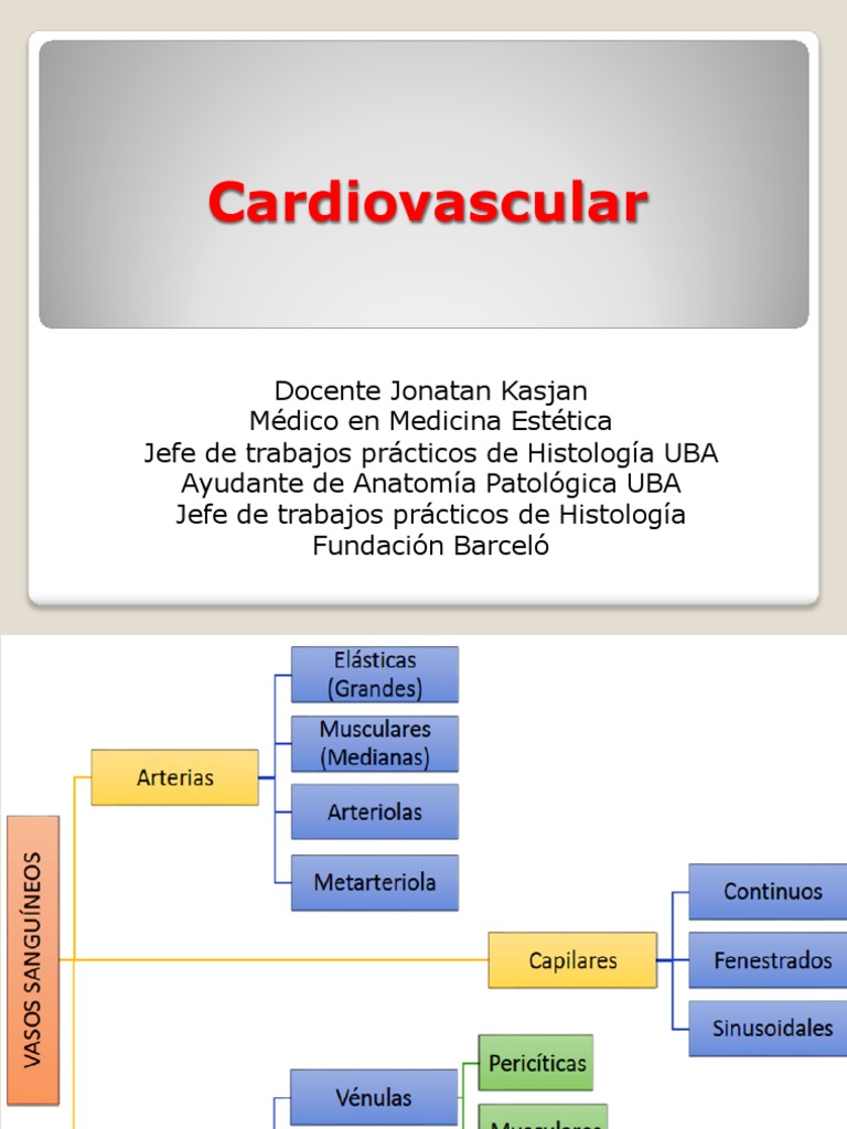 Cardiovascular pdf