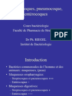 Streptocoques, Pneumocoque, Entérocoques