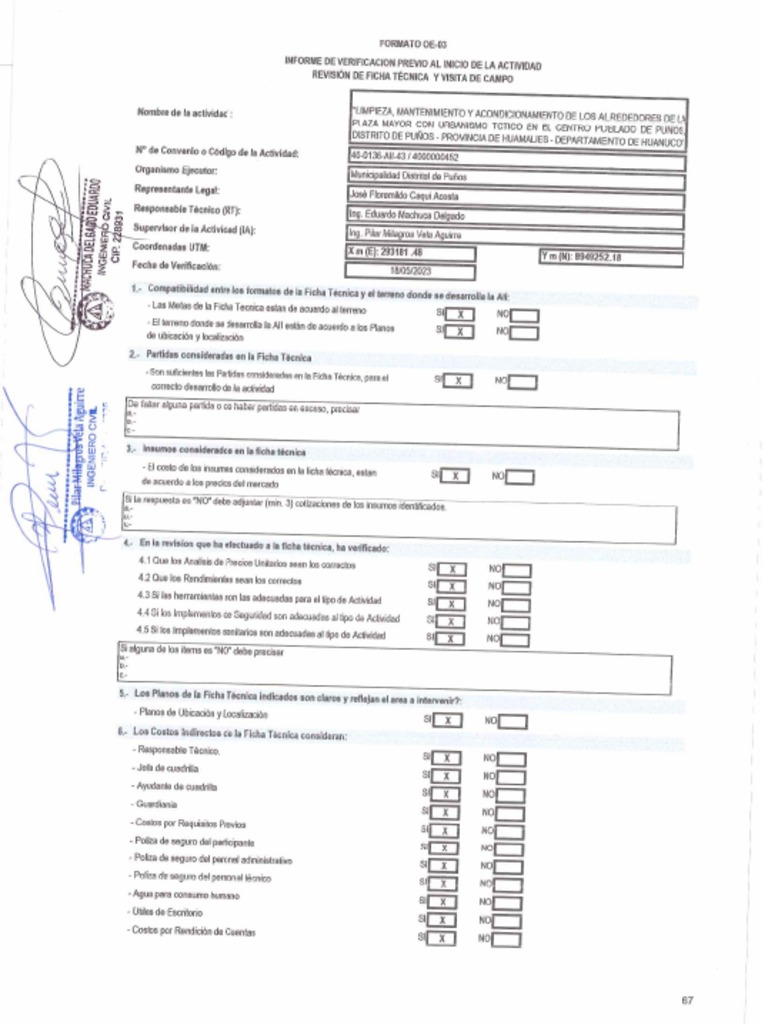 Formato Oe 03 | PDF