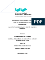 Guion Teatral de Conflicto de Daño Del Medio Ambiental