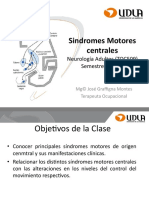Sindromes Motores Centrales TOC 509 202210