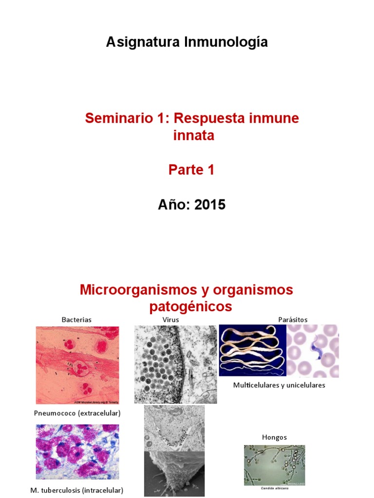 sem1-inmuno-pdf-sistema-inmune-citocina
