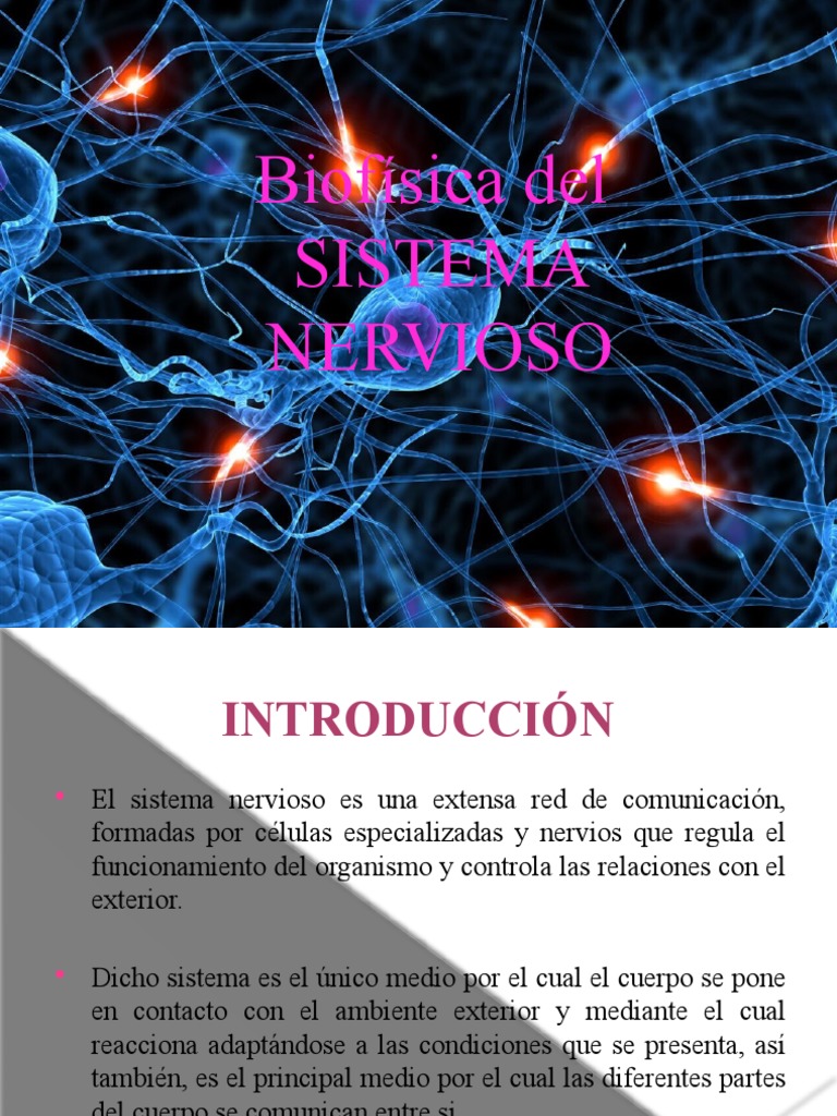 Sistema Nervioso Biofisica | PDF | Potencial de acción | Sistema nervioso