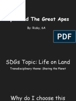 Apes and The Great Apes