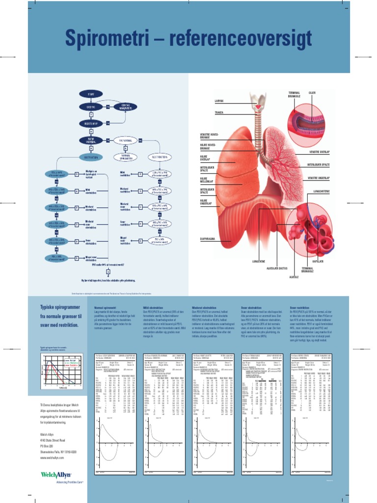 Spirometry Reference Chart PDF